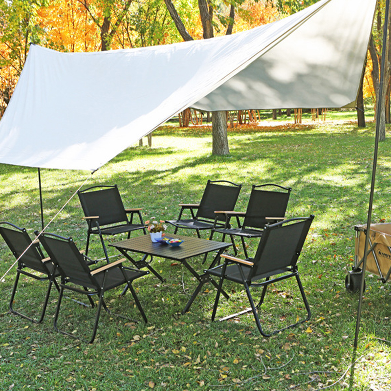 Carbon Steel Foldable Beach Chair