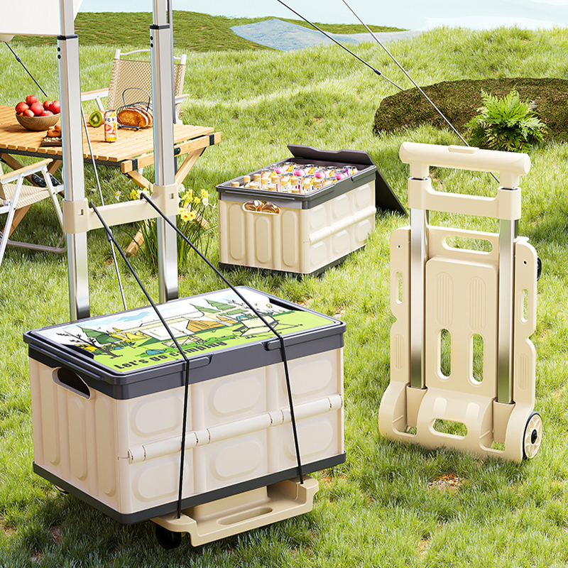 Pp Metal Alloy Camping Cart