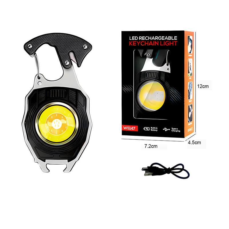 Multi-Function Portable Lights