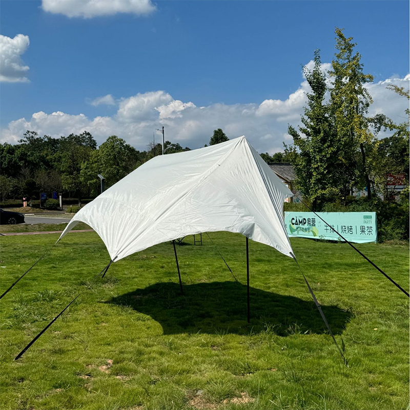 Butterfly-Shaped Awning
