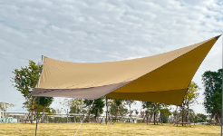 Canopy122401